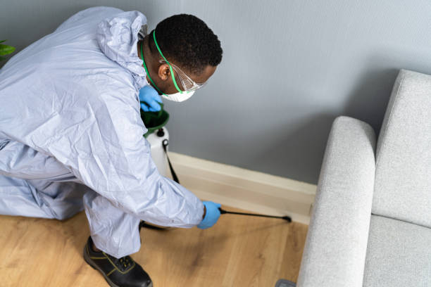 Best Fumigation Services  in Foster Brook, PA